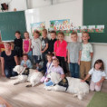 /album/fotogalerie-canisterapie-v-1-a-a-1-b/20250910-093557-jpg/