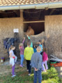 /album/fotogalerie-ranc-manner1/img-2471-jpeg/